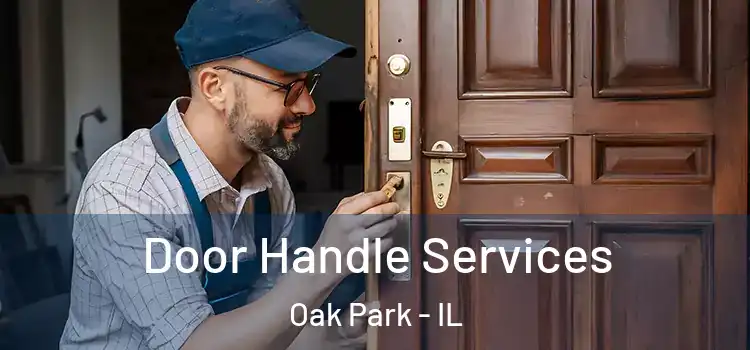 Door Handle Services Oak Park - IL