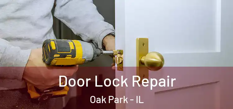  Door Lock Repair Oak Park - IL