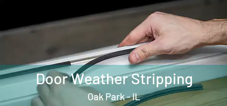 Door Weather Stripping Oak Park - IL