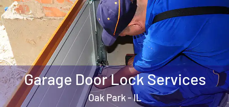 Garage Door Lock Services Oak Park - IL
