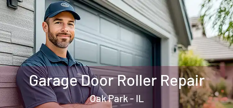  Garage Door Roller Repair Oak Park - IL