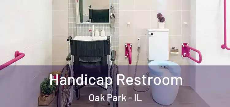 Handicap Restroom Oak Park - IL
