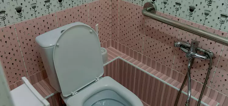 Meeting Diverse Needs With Accessible Restroom Solutions in Oak Park, IL