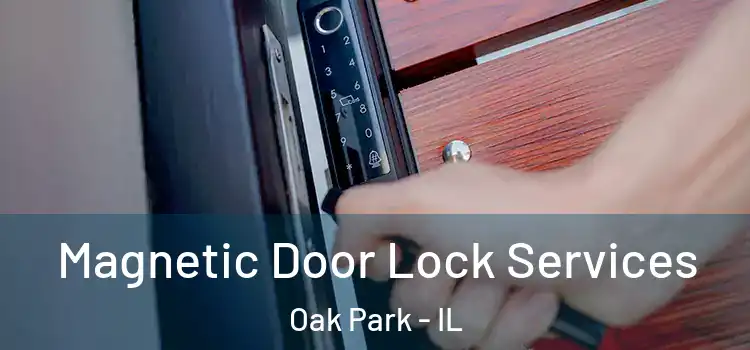 Magnetic Door Lock Services Oak Park - IL